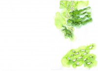 /album/kekszem-jazmin-irkaja-illusztraciok/tengeri-kirandulas-600-jpg/